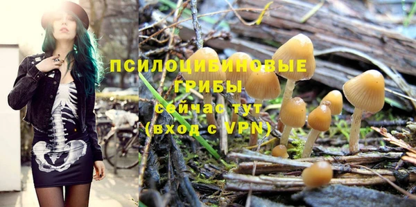 ешки Губаха