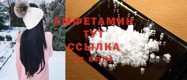амф Шенкурск