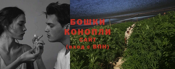 первитин Грязовец