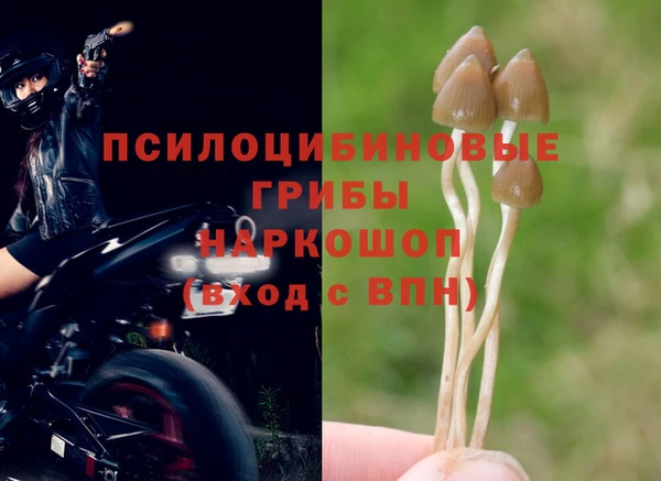герыч Грязи
